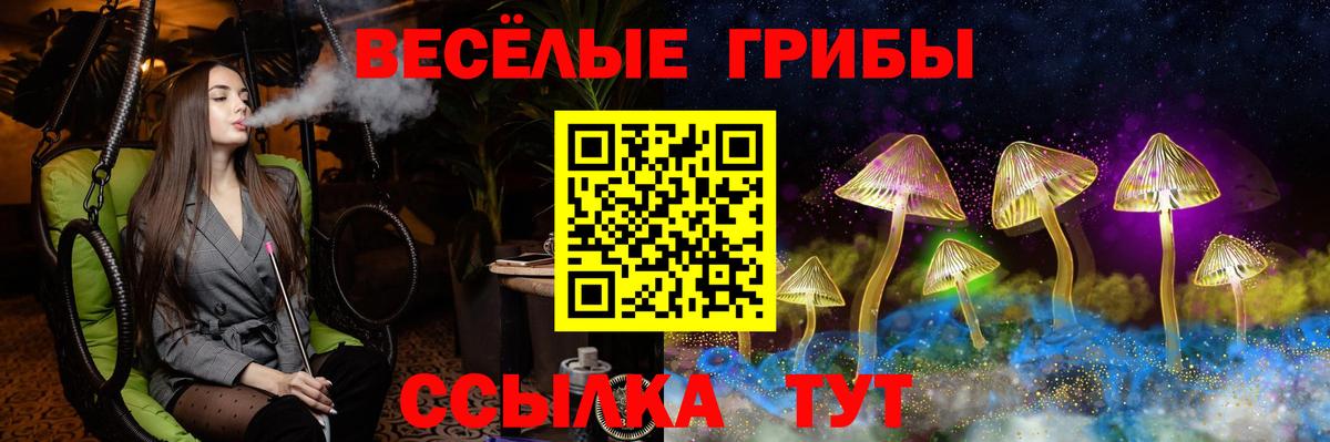 Урус-Мартан  где можно купить наркотик  Вход с VPN  Галлюциногенные грибы Psilocybe 